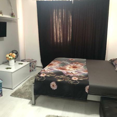 Garsoniera Aleea Trandafirilor Apartment Байле Херкулане Екстериор снимка