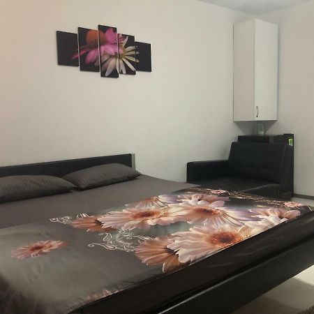 Garsoniera Aleea Trandafirilor Apartment Байле Херкулане Екстериор снимка
