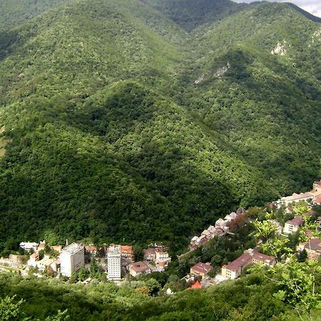 Garsoniera Aleea Trandafirilor Apartment Байле Херкулане Екстериор снимка